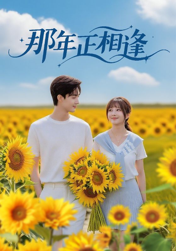 《那年正相逢》-VIP部落
