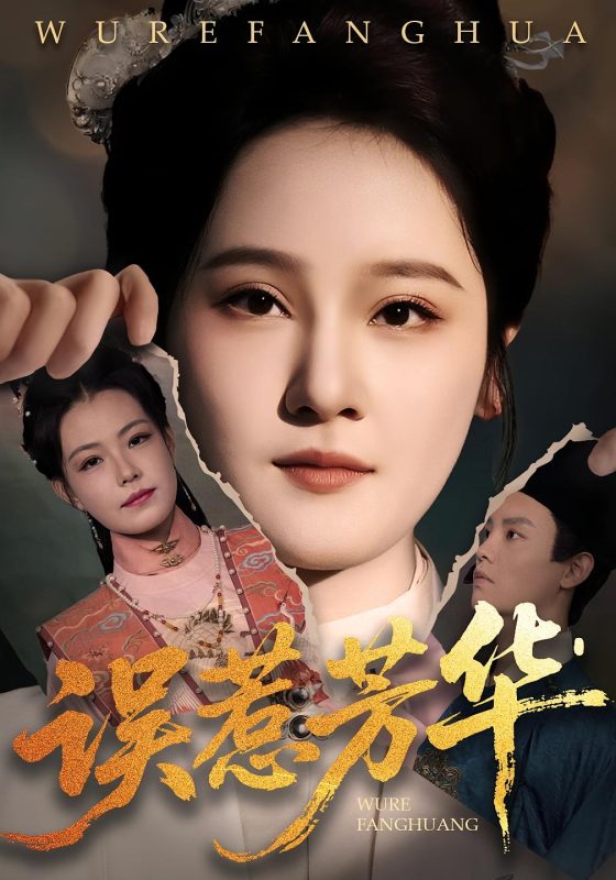 《捂惹芳华》-VIP部落