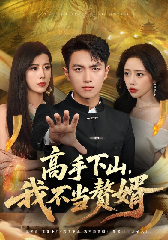 《高手下山我不当赘婿》-VIP部落