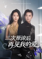 《三次原谅后再见我的爱》-VIP部落