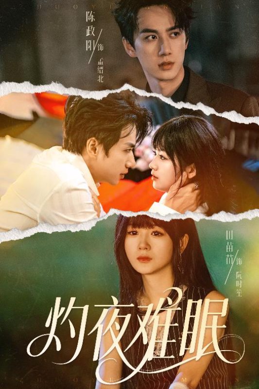 《灼夜难眠》-VIP部落
