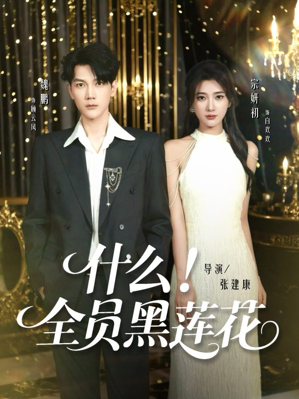 《什么全员黑莲花》-VIP部落