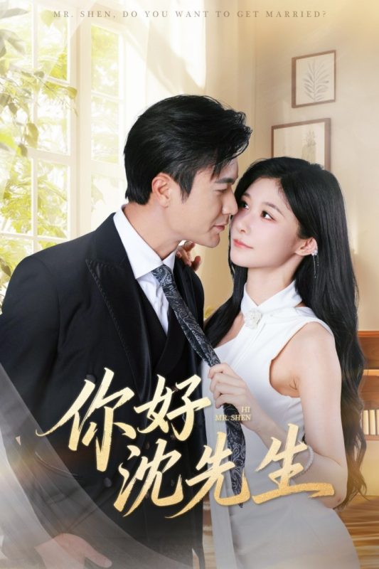 《你好沈先生》-VIP部落