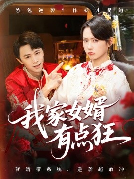 《我家女婿有点狂》-VIP部落