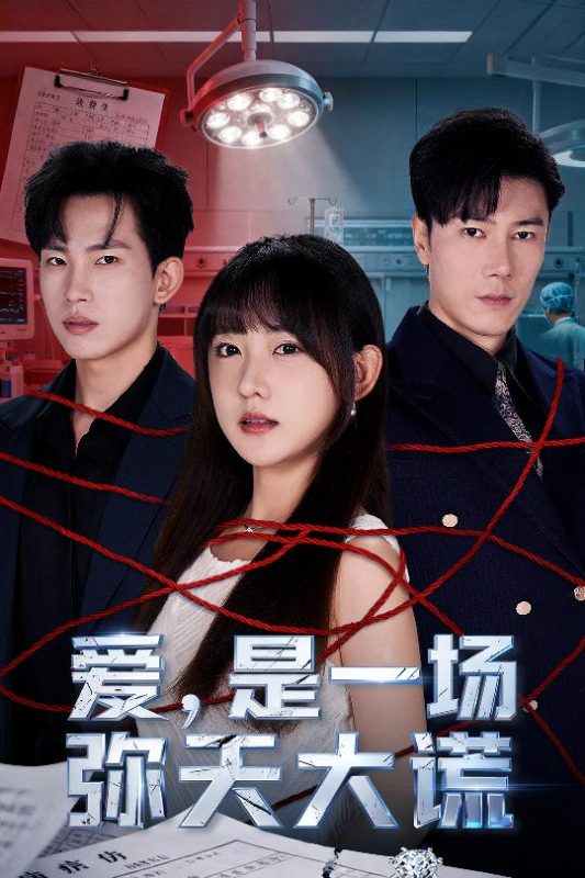 《爱是一场弥天大谎》-VIP部落