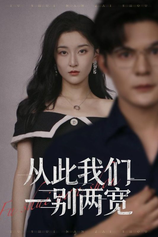 《从此我们一别两宽》-VIP部落