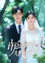 《许总他离婚失败在带娃》-VIP部落