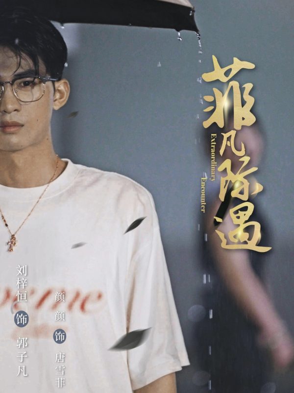 《菲凡际遇》-VIP部落