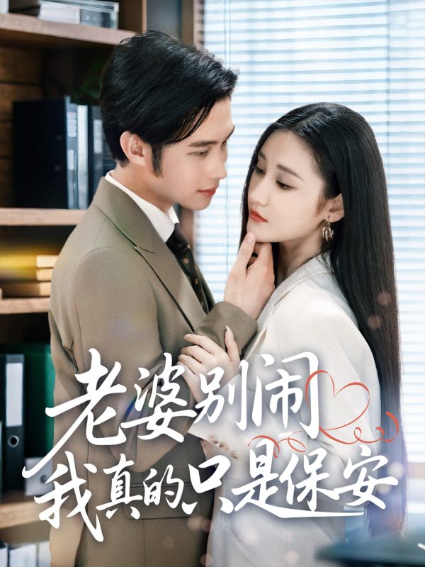 《老婆别闹我真的只是保安》-VIP部落