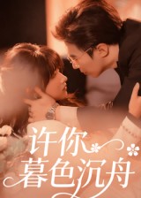 《许你暮色沉舟》-VIP部落