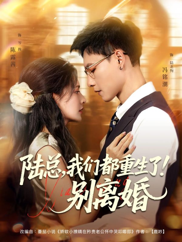 《陆总我们都重生了别离婚》-VIP部落