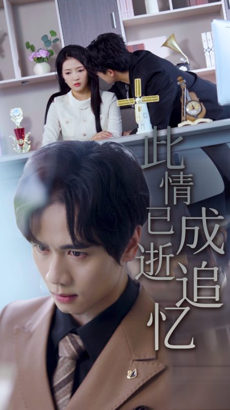 《此情已逝成追忆》-VIP部落