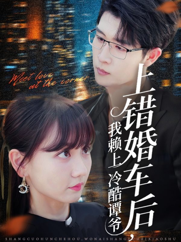 《上错婚车后我赖上冷酷谭爷》-VIP部落