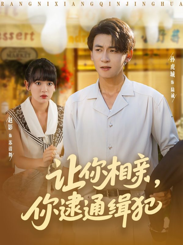 《让你相亲你逮通缉犯》-VIP部落