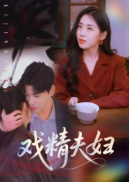 《戏精夫妇》-VIP部落