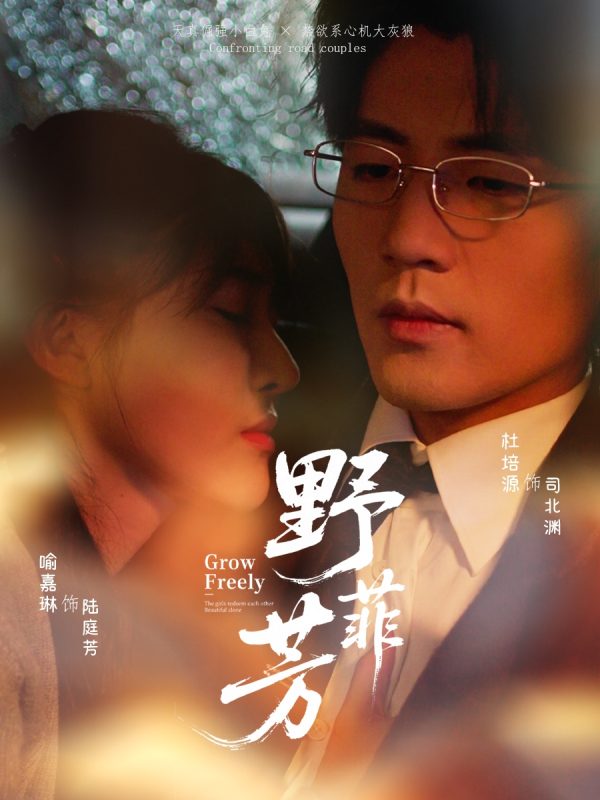 《野芳菲》-VIP部落