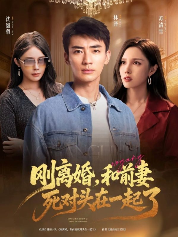 《刚离婚和前妻死对头在一起》-VIP部落