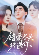 《错爱尽头终遇你》-VIP部落