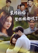《装修拆墙整栋楼都慌了》-VIP部落