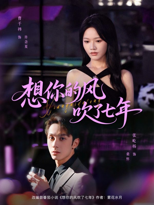 《想你的风吹了七年》-VIP部落