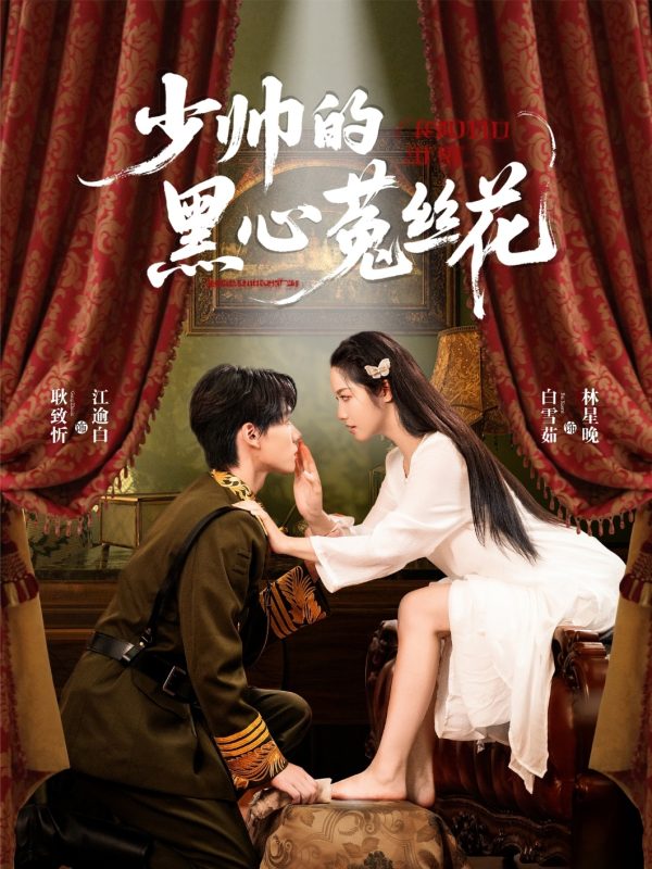 《少帅的黑心菟丝花》-VIP部落