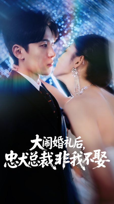 《大闹婚礼后忠犬总裁非我不娶》-VIP部落