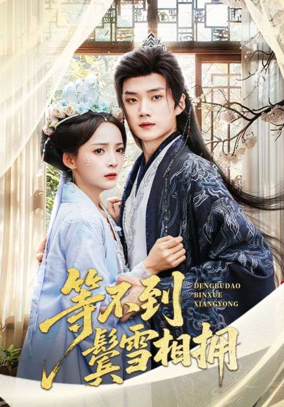 《等不到鬓雪相拥》-VIP部落