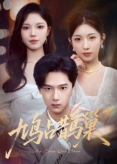 《鸠占鹊巢，顶流夫人的致命陷阱》-VIP部落
