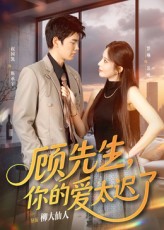 《顾先生你的爱太迟了》-VIP部落