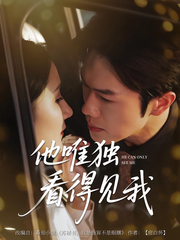 《他唯独看见我》-VIP部落