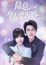 《陆总今天要离婚》-VIP部落