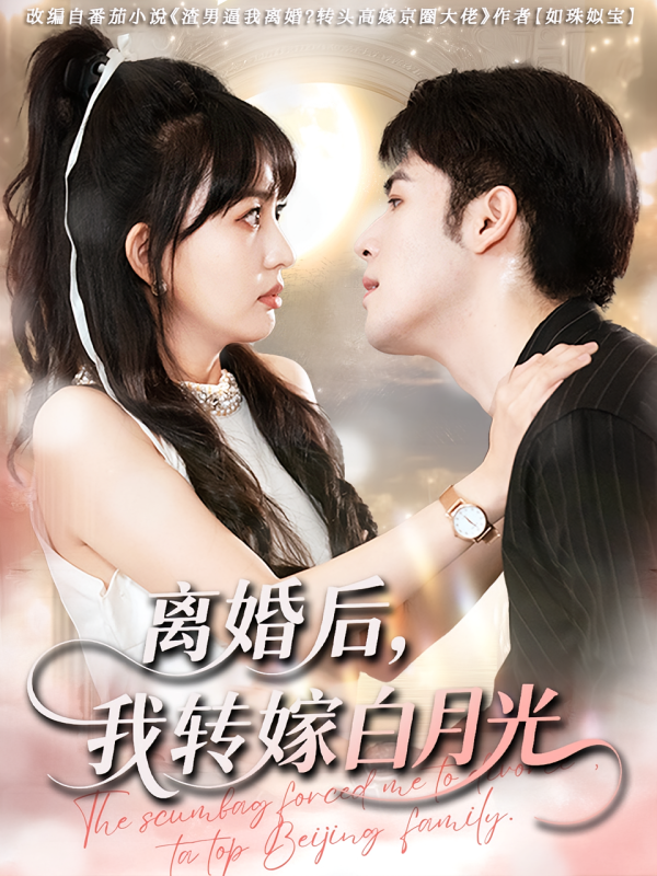 《离婚后我转嫁白月光》-VIP部落