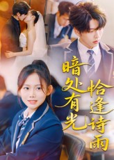 《暗处有光恰逢诗雨》-VIP部落