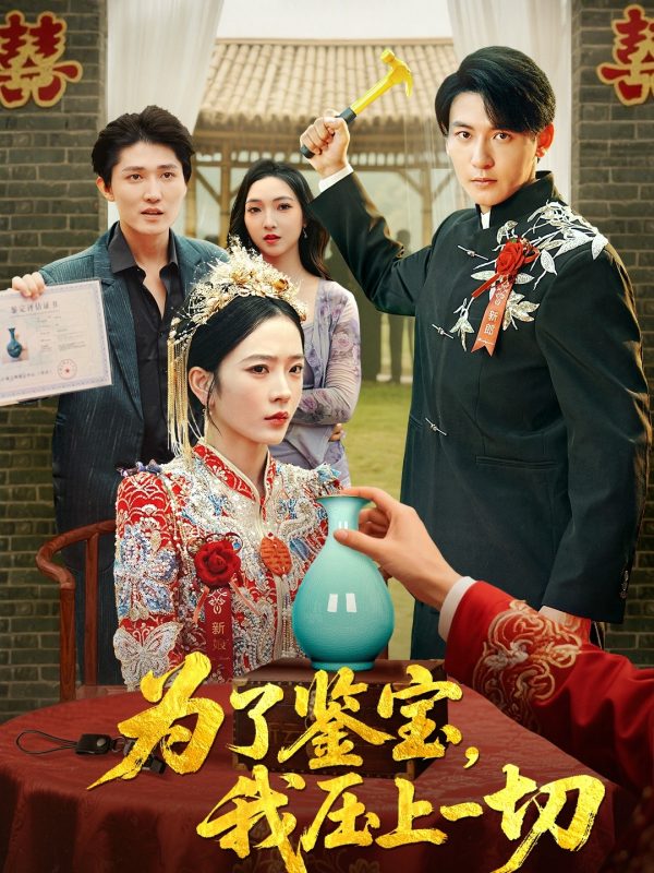《为了鉴宝我压上一切》-VIP部落