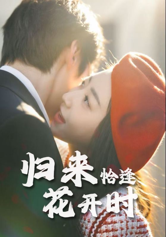 《归来恰逢花开时》-VIP部落