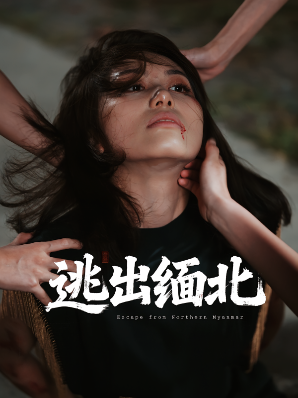 《逃出缅北》-VIP部落