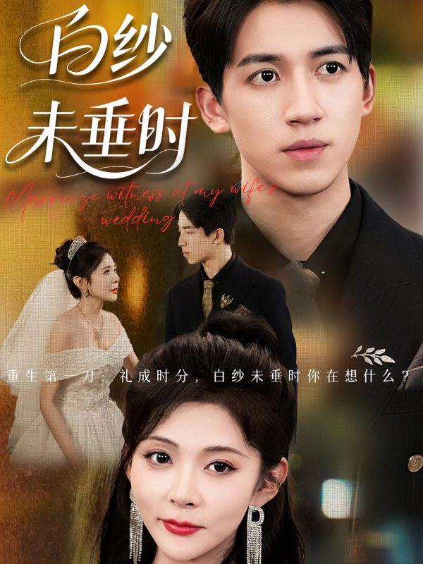 《老婆婚礼我当证婚人，白纱未垂时》-VIP部落