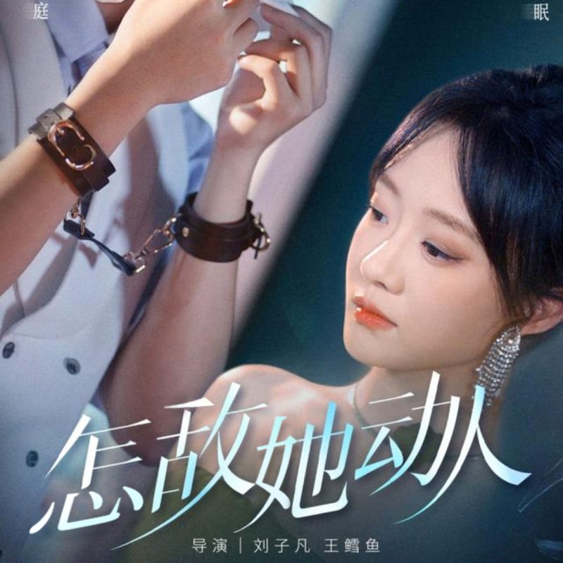 《怎敌她动人》-VIP部落