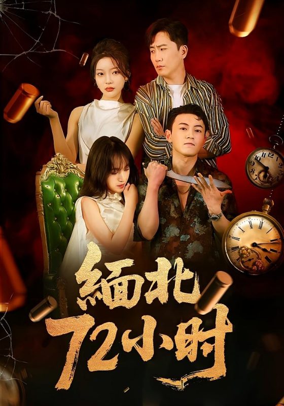 《缅北72小时》-VIP部落