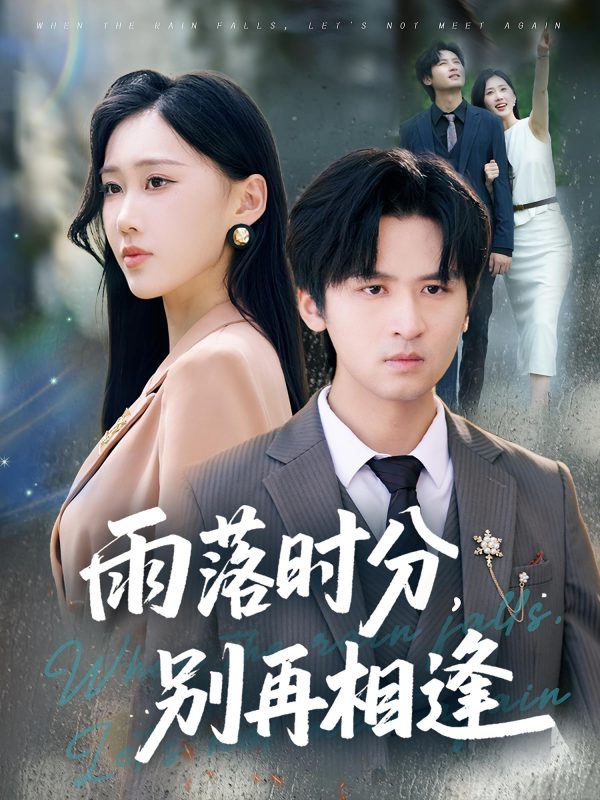 《雨落时分别再相逢》-VIP部落