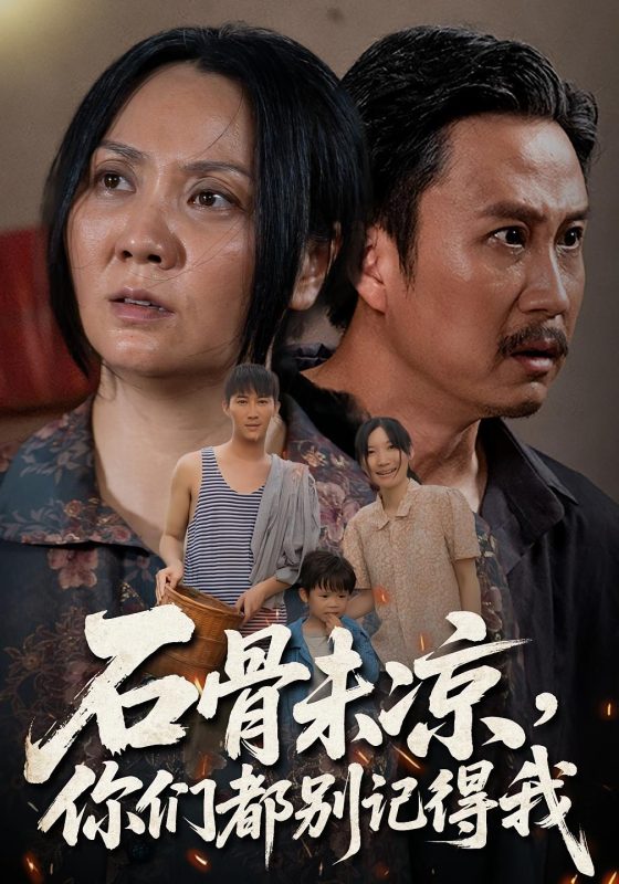 《石骨未凉你们都别记得我》-VIP部落