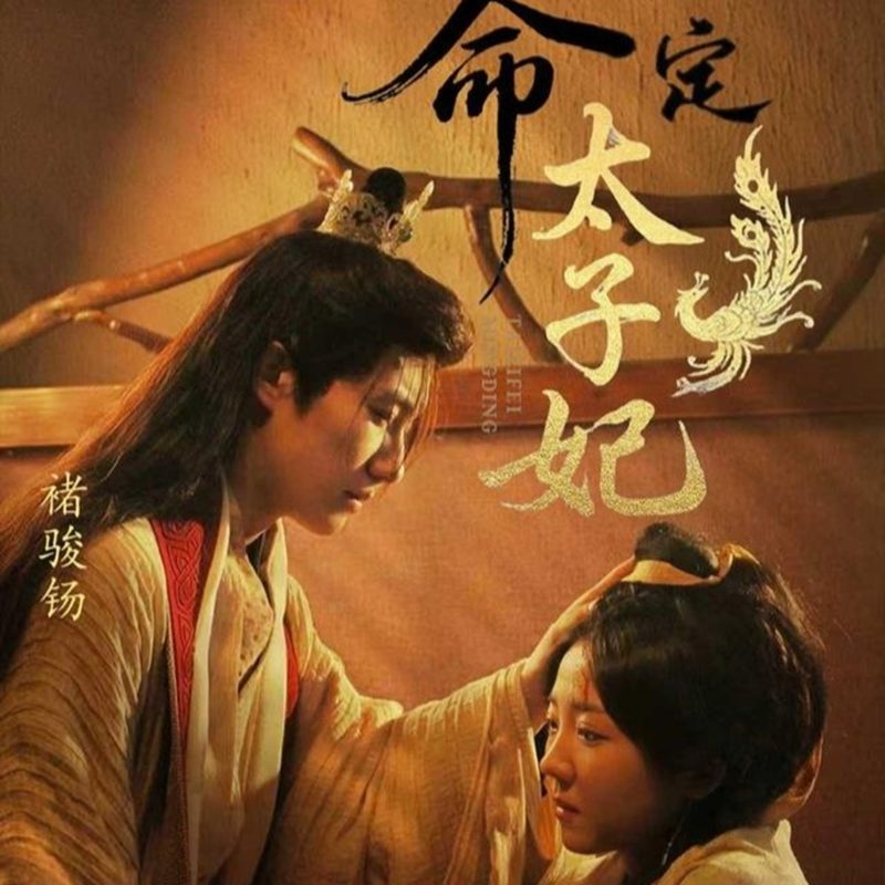 《命定太子妃》-VIP部落