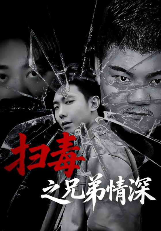 《扫毒之兄弟情深》-VIP部落