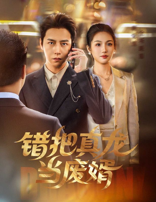 《错把真龙当废婿》-VIP部落