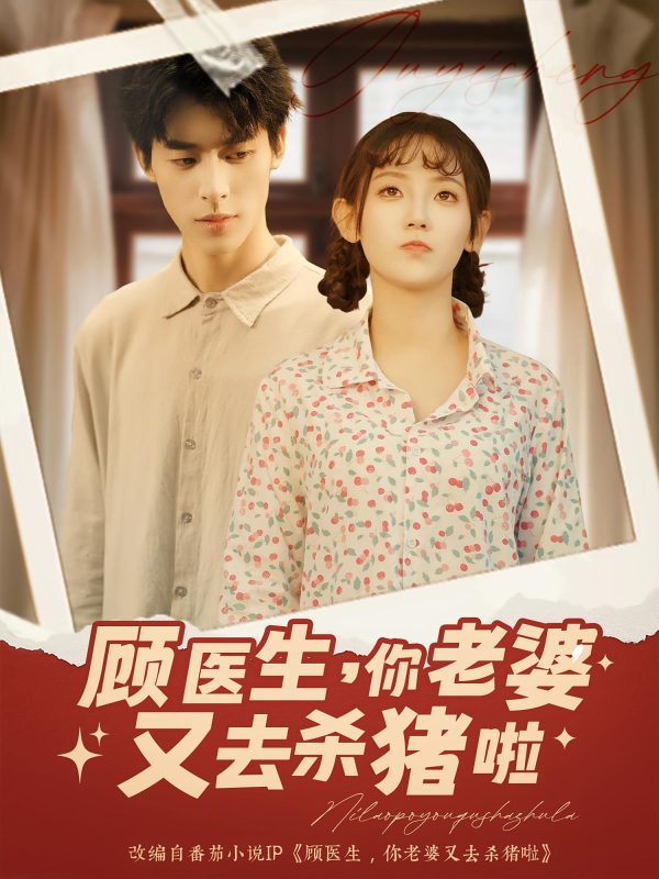 《顾医生你老婆又去杀猪啦》-VIP部落