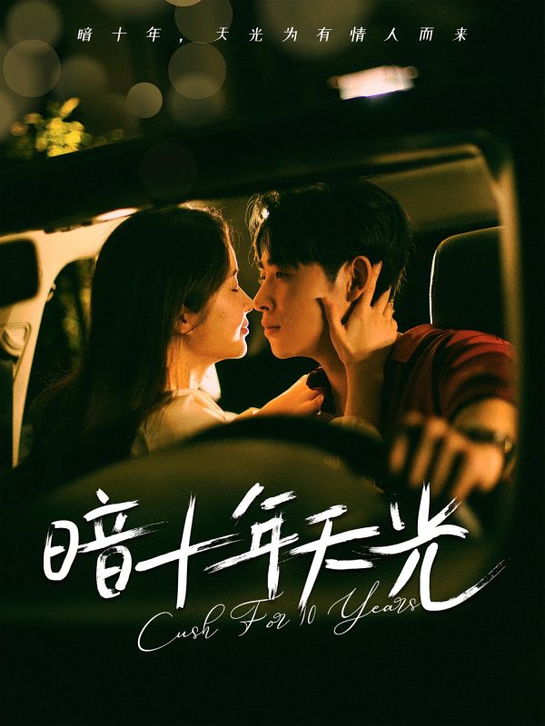 《暗十年天光》-VIP部落