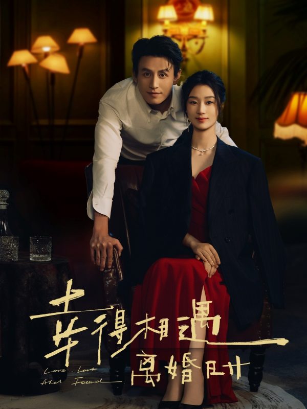 《幸得相遇离婚时》-VIP部落