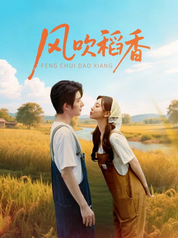 《风吹稻香》-VIP部落