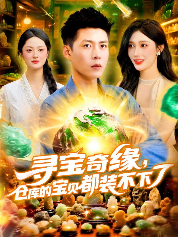 《寻宝奇缘仓库的宝贝都装不下了》-VIP部落