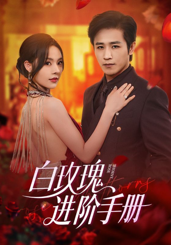《白玫瑰进阶手册》-VIP部落